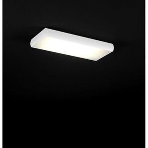 Светильник потолочный FM ILUMINACION 17019/r60-bm