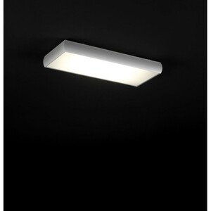Светильник потолочный FM ILUMINACION 17019/r60-al