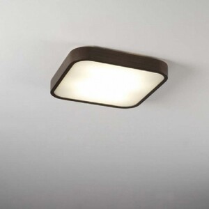 Светильник потолочный FM ILUMINACION 20017/40-wg