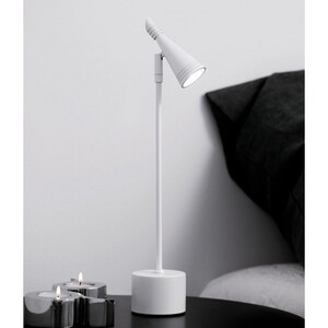 Настольная лампа Neptun table lamp 13012012020
