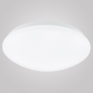Настенно-потолочный светильник EGLO 93306 Led Giron