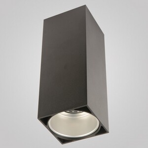 Накладной светильник Zumaline Vary 50615